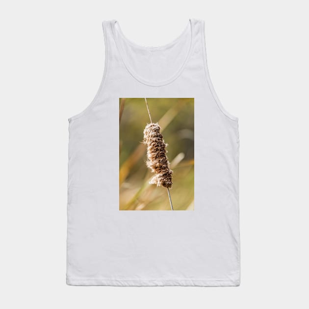 Cattail Scruff. Photograph Tank Top by love-fi